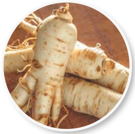 Beliv Ginseng Extract - Boosting Skin Radiance and Vitality with Natural Korean Ginseng